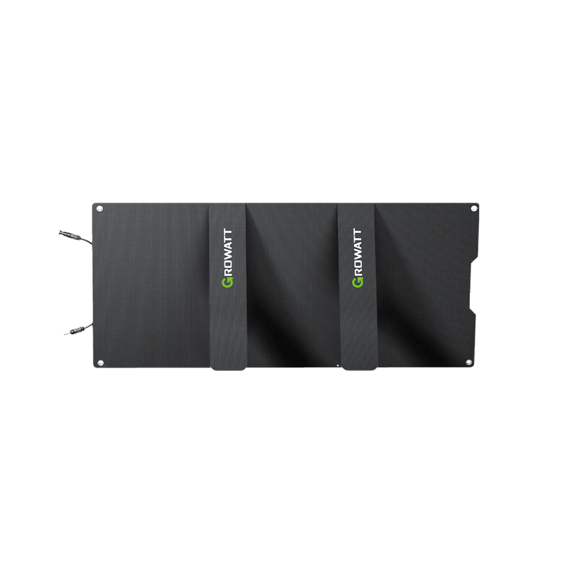 Chargez l&#39;image dans la visionneuse de la galerie, Panneau Solaire Growatt 100 W
